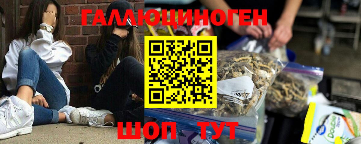 Ялуторовск  Псилоцибиновые грибы мухоморы  где купить наркотик  Вход с VPN 